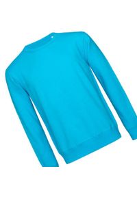 Stedman - Bluza Unisex Dla Dorosłych Select Plain. Kolor: niebieski