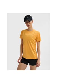 Damski jersey Hummel Active PL. Kolor: pomarańczowy. Materiał: jersey. Długość rękawa: krótki rękaw. Długość: krótkie. Wzór: jodełka, nadruk. Sport: piłka nożna #1