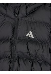 Adidas - adidas Kurtka zimowa JL7389 Czarny Regular Fit. Kolor: czarny. Materiał: syntetyk. Sezon: zima