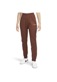 Spodnie dresowe Nike Therma-FIT Academy Winter Warrior DC9123-273 - brązowe. Kolor: brązowy. Materiał: dresówka. Sezon: zima
