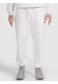 4f - 4F Spodnie dresowe joggery męskie - szare 3XL. Kolor: szary. Materiał: dresówka. Wzór: gładki, ze splotem