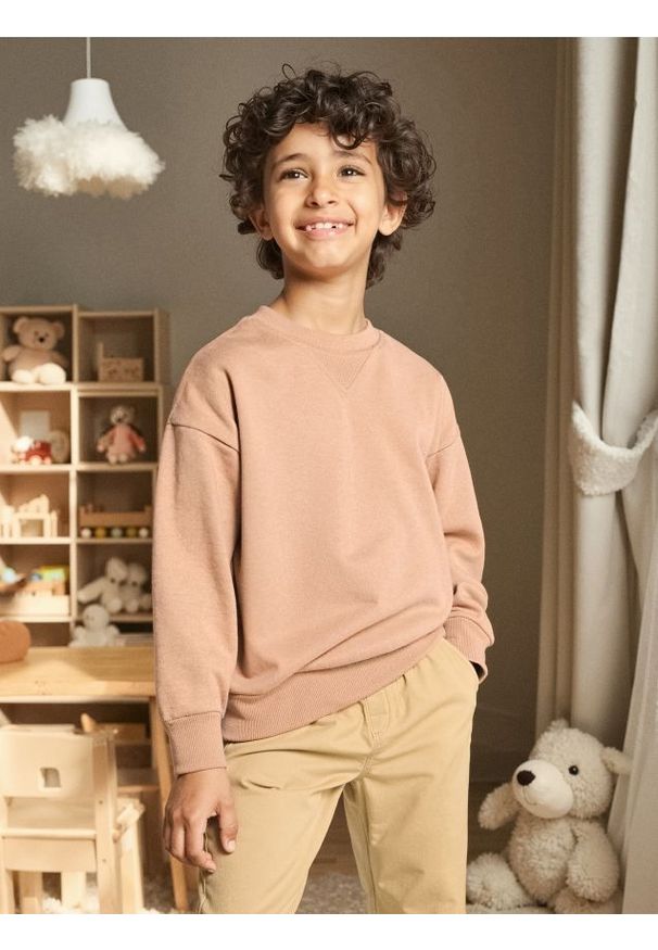 Sinsay - Bluza crewneck - brązowy. Kolor: brązowy
