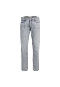 Jeansy Jack & Jones Mike 020 szary denim. Kolor: szary. Materiał: denim, jeans. Sport: skateboard #1