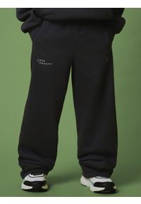 4f - 4F Spodnie dresowe chłopięce - szare 158/164 (12-14 lat). Okazja: na co dzień. Kolor: szary. Materiał: dresówka. Sezon: lato. Styl: casual, sportowy #2