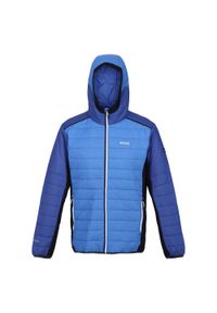 Regatta - Męska Kurtka Trutton II Baffled Padded Jacket. Kolor: niebieski