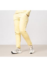 outhorn - Spodnie dresowe damskie. Materiał: dresówka