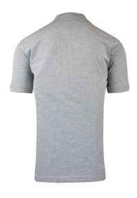 Męski T-Shirt na Stójce - Brave Soul - Popielaty. Okazja: na co dzień. Typ kołnierza: kołnierzyk stójkowy. Kolor: szary. Materiał: bawełna. Sezon: lato, wiosna. Styl: casual #3
