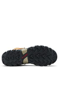 columbia - Columbia Trekkingi Newton Ridge Plus II Suede Wp 1746411 Brązowy. Kolor: brązowy. Materiał: zamsz, skóra. Sport: turystyka piesza #5