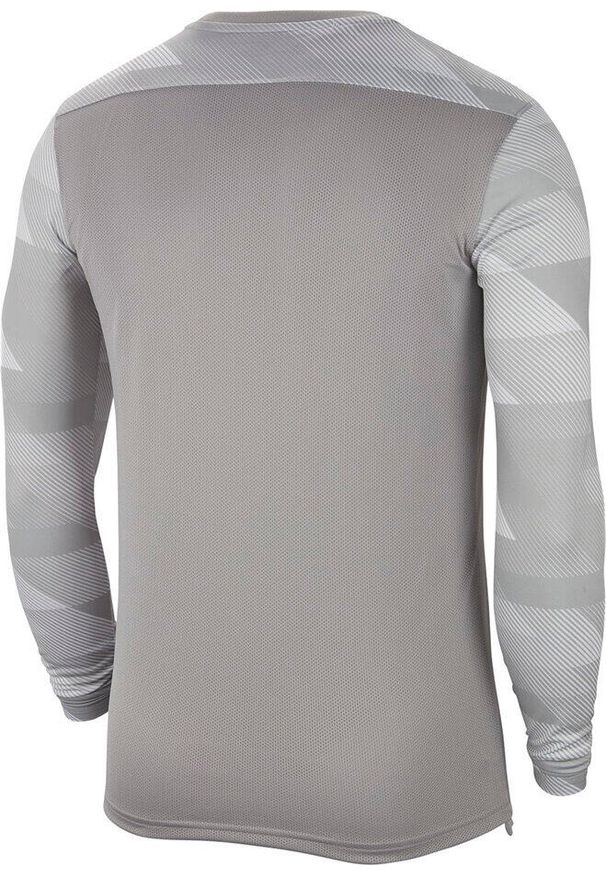Bluza bramkarska męska Nike Dry Park IV JSY LS GK. Kolor: szary