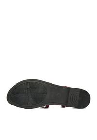 DeeZee Sandały CEO-YLD-F9678 Bordowy. Kolor: czerwony. Materiał: materiał #3