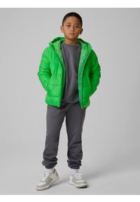 4f - 4F Kurtka z wypełnieniem syntetycznym chłopięca - zielona 146 (10-11 lat). Okazja: na spacer, na co dzień, na uczelnię. Kolor: zielony. Materiał: syntetyk. Wzór: gładki. Sezon: lato. Styl: casual #2