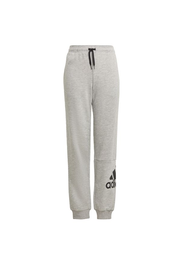 Adidas - Spodnie dziecięce adidas Essentials Big Logo. Kolor: czarny, szary, wielokolorowy. Sport: joga i pilates