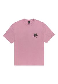 Quiksilver T-Shirt Elderberry EQYZT08200 Fioletowy Regular Fit. Kolor: fioletowy. Materiał: bawełna #1