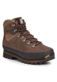 Dolomite Trekkingi Tofana Gtx GORE-TEX 247920-0300011 Brązowy. Kolor: brązowy. Materiał: nubuk, skóra. Technologia: Gore-Tex. Sport: turystyka piesza