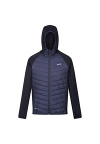 Regatta - Męska Kurtka Hybrydowa Andreson VIII. Kolor: niebieski. Materiał: puch. Sport: turystyka piesza #1