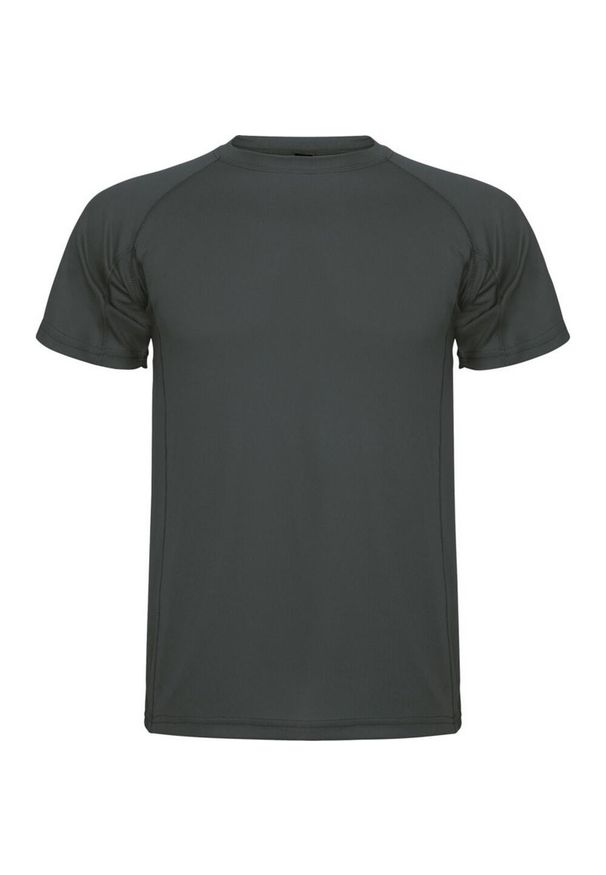 ROLY - Męska Koszulka Sportowa Montecarlo Z Krótkim Rękawem. Kolor: szary, niebieski, wielokolorowy. Długość rękawa: krótki rękaw. Długość: krótkie. Sport: turystyka piesza