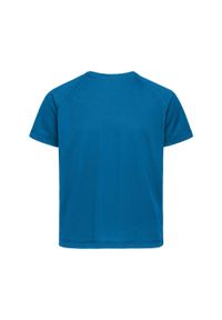 Stedman - Koszulka Dziecięca Raglan Active T-shirt. Kolor: wielokolorowy, turkusowy, niebieski. Długość rękawa: raglanowy rękaw