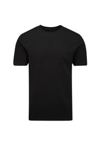 MANTIS - Męska Koszulka Essential Heavyweight. Kolor: czarny. Sport: turystyka piesza #1