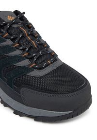 columbia - Columbia Trekkingi Strata Trail Low Wp 2076891 Czarny. Kolor: czarny. Materiał: zamsz, skóra. Sport: turystyka piesza #5
