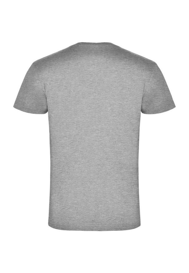 ROLY - Męska Koszulka Samoyedo Z Dekoltem V. Kolor: szary. Sport: turystyka piesza