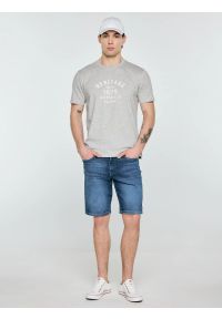 Big-Star - Koszulka męska z nadrukiem szara Serter 901. Okazja: na co dzień. Kolor: szary. Materiał: materiał, bawełna, denim, dzianina, skóra. Długość rękawa: krótki rękaw. Długość: krótkie. Wzór: nadruk. Styl: klasyczny, casual #4