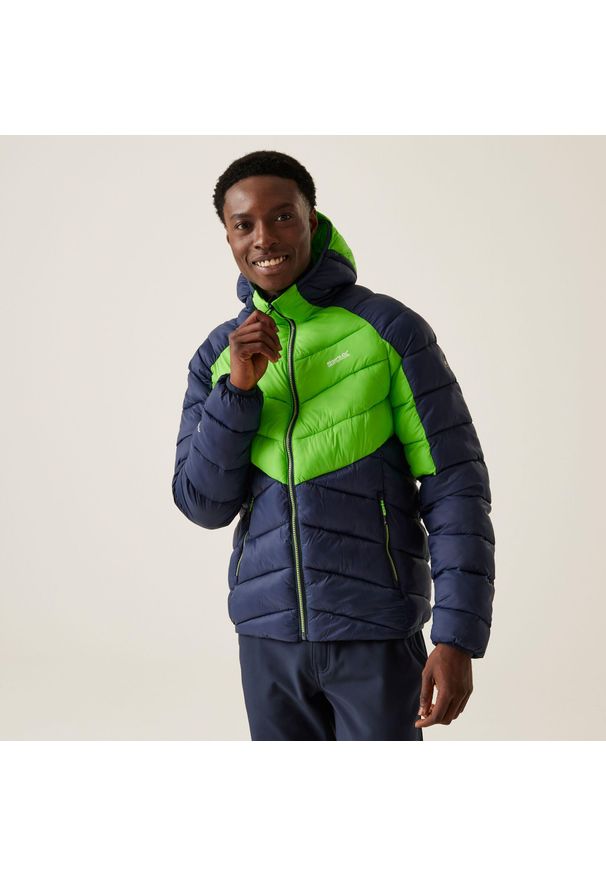 Regatta - Męska kurtka z kapturem Dalent na wędrówki z przegrodami. Typ kołnierza: kaptur. Kolor: żółty, niebieski, zielony, wielokolorowy. Materiał: puch. Sport: turystyka piesza