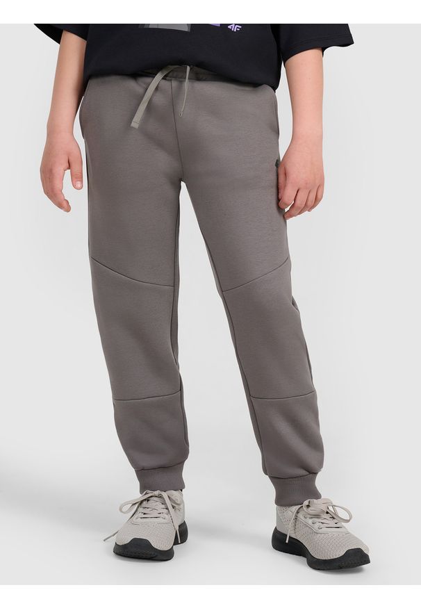 4f - 4F Spodnie dresowe joggery chłopięce - szare 140 (9-10 lat). Okazja: na co dzień. Kolor: szary. Materiał: dresówka. Wzór: ze splotem, nadruk, napisy, gładki. Sezon: lato. Styl: młodzieżowy, sportowy, casual