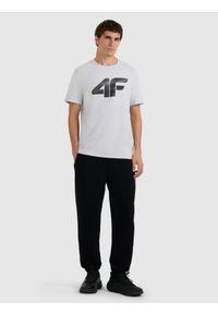 4f - 4F T-shirt regular z nadrukiem męski - szary XL. Okazja: na co dzień. Kolor: szary. Wzór: nadruk. Styl: casual