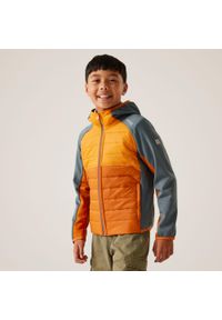 Regatta - Kurtka turystyczna hybrydowa dziecięca Kielder IX. Kolor: pomarańczowy #1