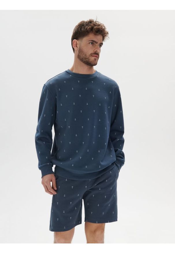 Sinsay - Bluza z nadrukiem - niebieski. Kolor: niebieski. Materiał: bawełna. Wzór: nadruk