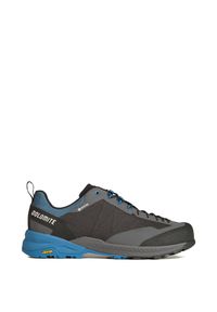 Buty trekkingowe męskie Dolomite Crodarossa Tech GTX. Kolor: zielony