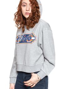 Wrangler - WRANGLER GEO HOODIE DAMSKA BLUZA Z KAPTUREM MID GREY MEL W6N3HPX37. Typ kołnierza: kaptur #8