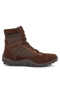 Kozaki Lasocki. Kolor: brązowy #1