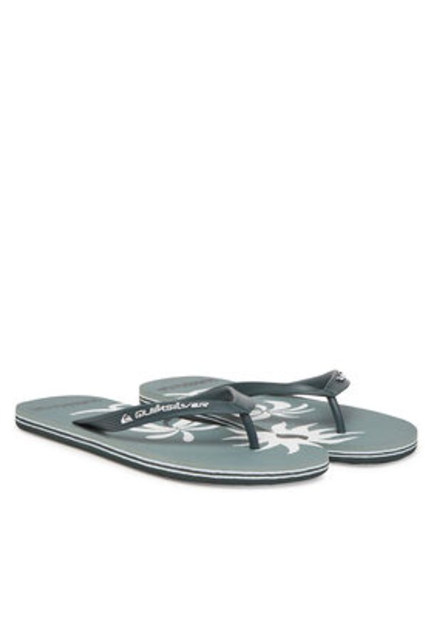 Quiksilver Japonki Molokai Screen AQYL101427 Zielony. Kolor: zielony. Materiał: syntetyk