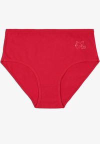 Born2be - Bordowe Gładkie Majtki Figi z Bawełny Idina. Kolekcja: plus size. Kolor: czerwony. Materiał: bawełna. Wzór: gładki