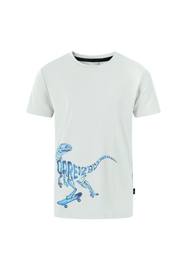DARE 2B - Koszulka Chłopięca Amuse II Velociraptor. Kolor: zielony. Sport: turystyka piesza