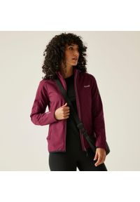 Regatta - Kurtka damska softshell wodoodporny Moutdale. Kolor: czerwony. Materiał: softshell. Sport: turystyka piesza #1