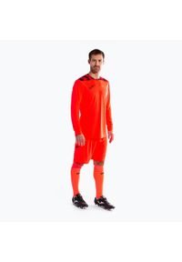 Zestaw bramkarski Joma Zamora VIII. Kolor: czerwony, różowy, wielokolorowy. Materiał: dresówka