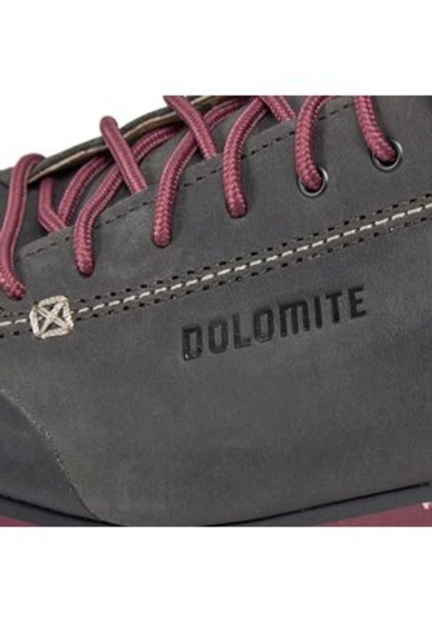 Dolomite Trekkingi Ws 54 High Fg Evo Gtx GORE-TEX 292533 Szary. Kolor: szary. Materiał: skóra, nubuk