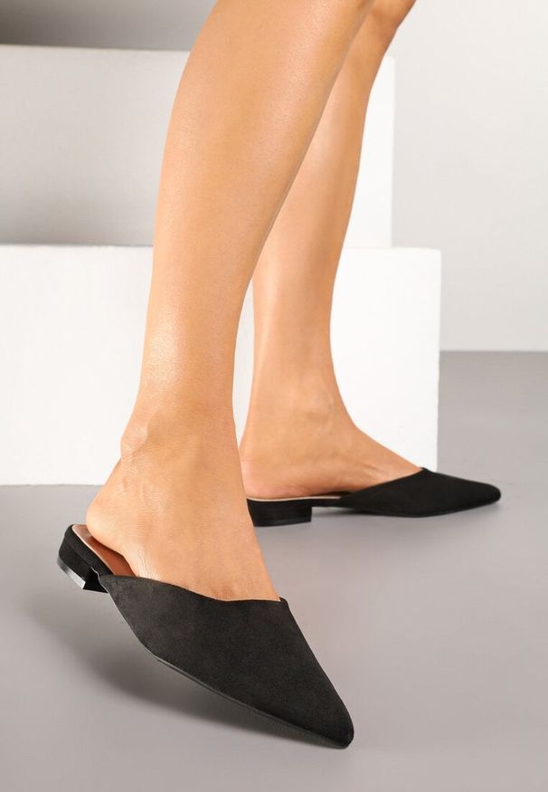 Renee - Czarne Klapki Typu Mule z Noskiem w Szpic Ferraza. Okazja: na co dzień. Kolor: czarny. Materiał: jeans. Obcas: na obcasie. Styl: elegancki, casual. Wysokość obcasa: niski