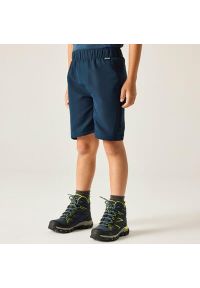 Regatta - Spodenki dziecięce Sorcer III. Kolor: niebieski. Materiał: poliester. Styl: sportowy. Sport: turystyka piesza #1