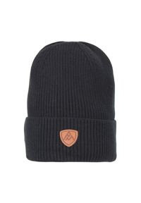 PEAK MOUNTAIN - Czapka Peak Mountain Maitre. Kolor: czarny. Sezon: zima. Styl: sportowy #1