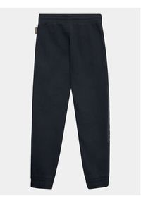 Napapijri Spodnie dresowe NP0A4HGH M Czarny Regular Fit. Kolor: czarny. Materiał: bawełna