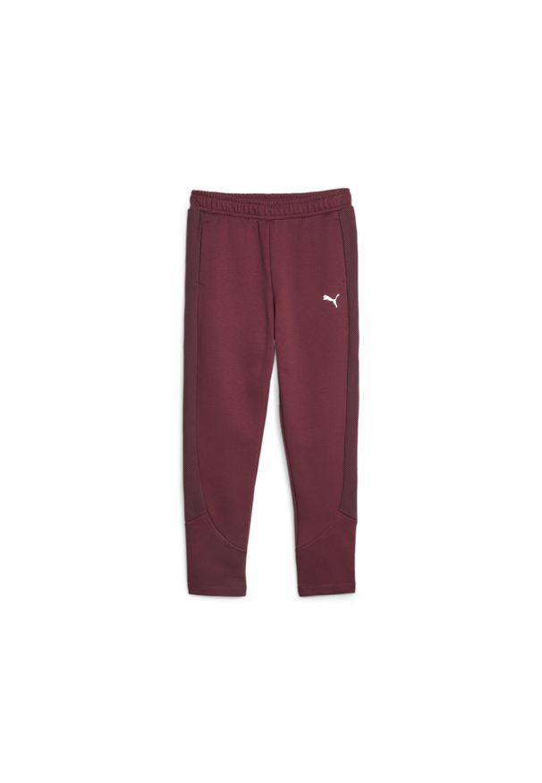 Puma Spodnie Evostripe Hw 67607522. Kolor: czerwony, biały, wielokolorowy. Sport: fitness