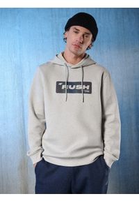 4f - 4F Bluza dresowa regular z kapturem męska - szara XL. Okazja: na co dzień. Typ kołnierza: kaptur. Kolor: szary. Materiał: dresówka. Styl: casual, sportowy #1