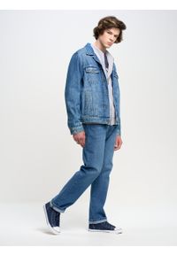 Big-Star - Spodnie jeans męskie Trent 114. Okazja: na co dzień. Kolor: niebieski. Wzór: haft. Sezon: wiosna, jesień, lato. Styl: casual, klasyczny #4