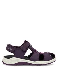 ecco - Sandały ECCO. Kolor: fioletowy #1