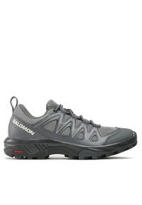 salomon - Salomon Trekkingi X Braze W 471802 20 V0 Szary. Kolor: szary. Materiał: skóra