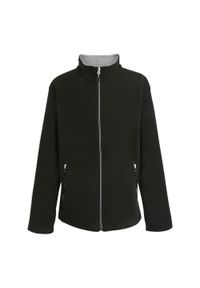 Regatta - Męska Bluza Polarowa Ascender. Kolor: szary, czarny, wielokolorowy. Materiał: polar. Sezon: zima. Styl: sportowy. Sport: turystyka piesza #1