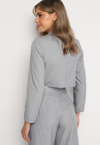 Born2be - Szara Jednorzędowa Marynarka o Krótkim Fasonie z Napami Satheryn. Okazja: na co dzień, na spotkanie biznesowe. Kolor: szary. Materiał: jeans. Długość: krótkie. Styl: biznesowy, klasyczny, casual #6